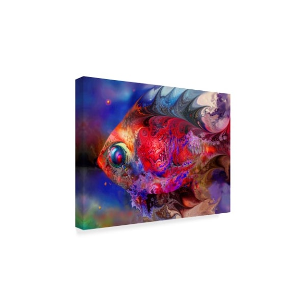 RUNA 'Beautiful Red Fish' Canvas Art,35x47